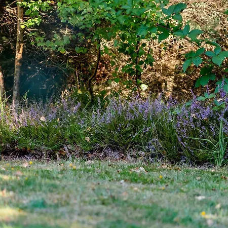 Barne - 4km From The Sea By Interhome